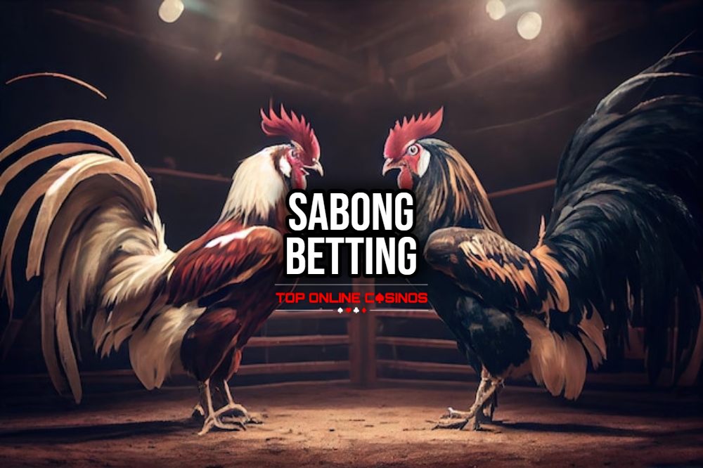 sabong